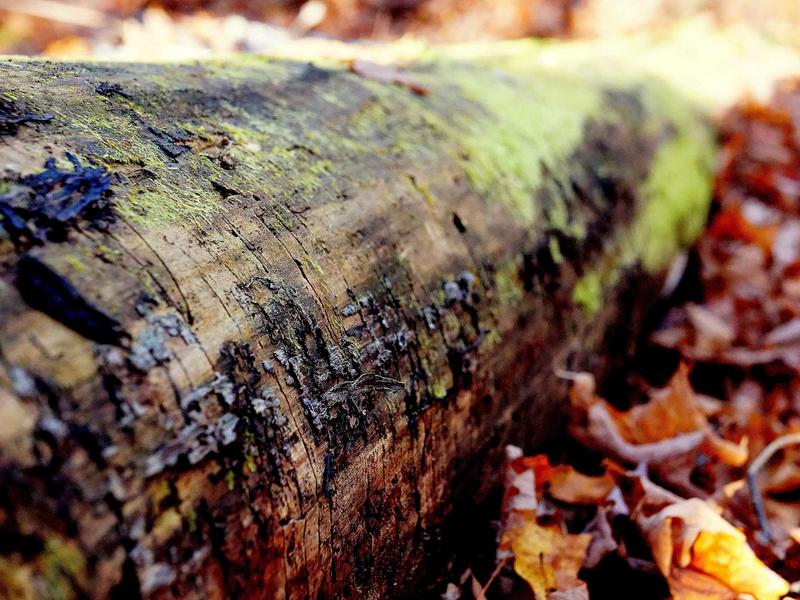 sudoku no mistakes screenshot 3